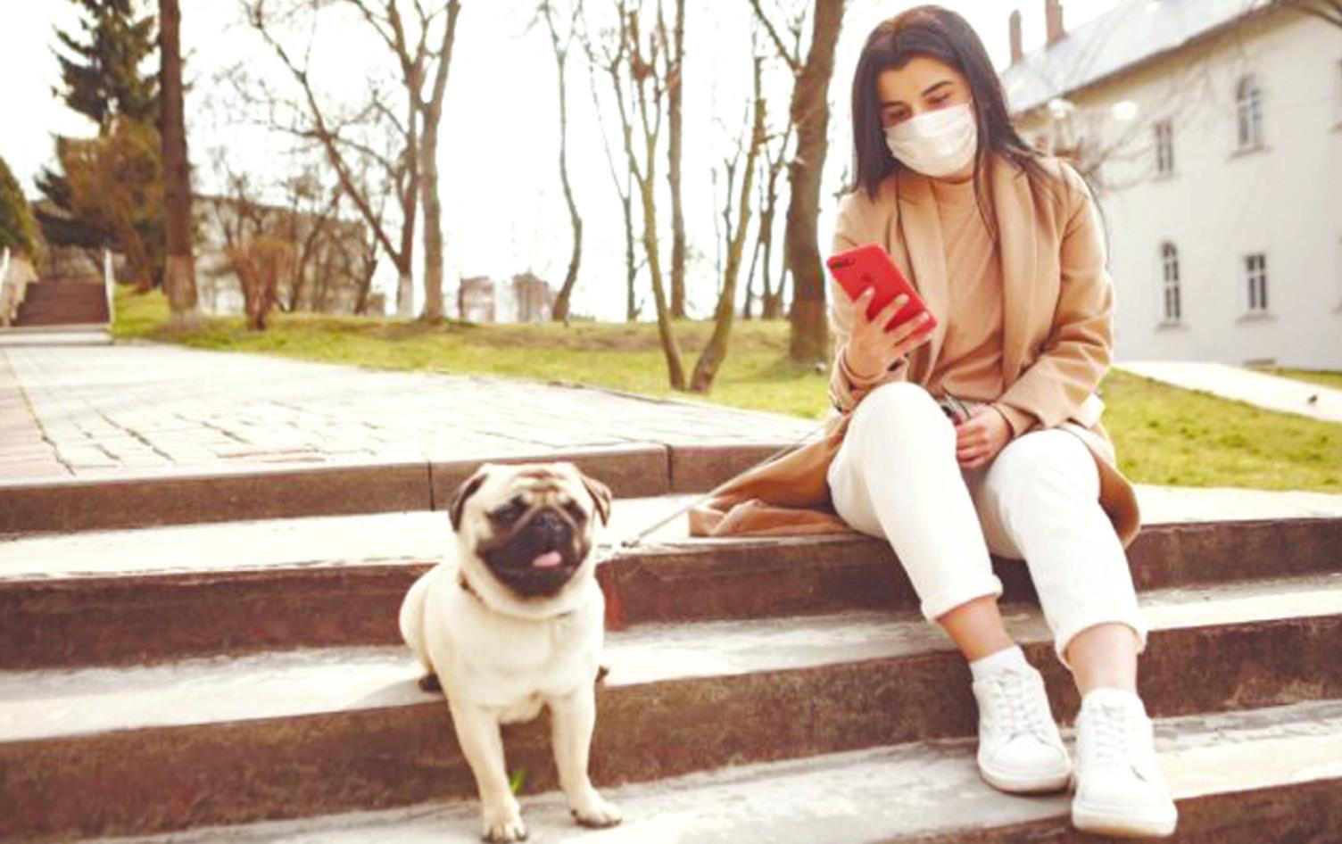 Pandemic pet-care precautions