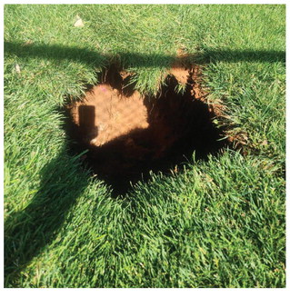This 18 inch wide and three foot deep hole was visible this past weekend at the SWOSU Bulldogs and Friends Dog Park across from City Hall. Provided