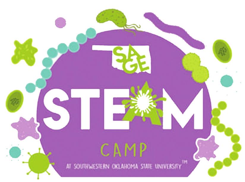 PictureD is the 2020 SAGE STEAM logo. Organizer Dr. Lisa Appeddu said the logo was made in honor of the American Society for Microbiology, which is a big supported of the camp. Leanna Cook/WDN