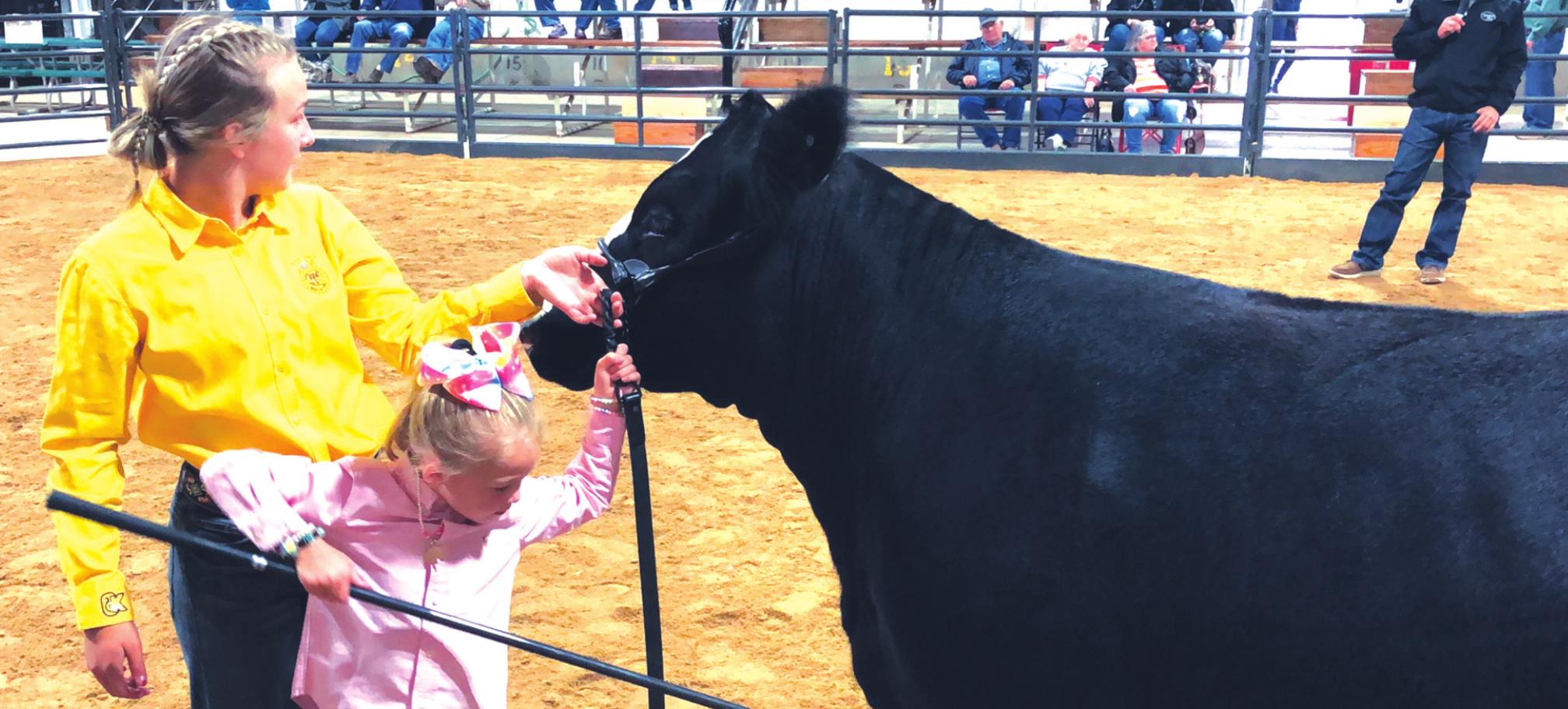 PeeWee showman Emory Richardson walks her calf though her ring with some help from big sister Ella Richardson. Both girls are Arapaho-Butler students. Photo courtesy of Jordan Nel