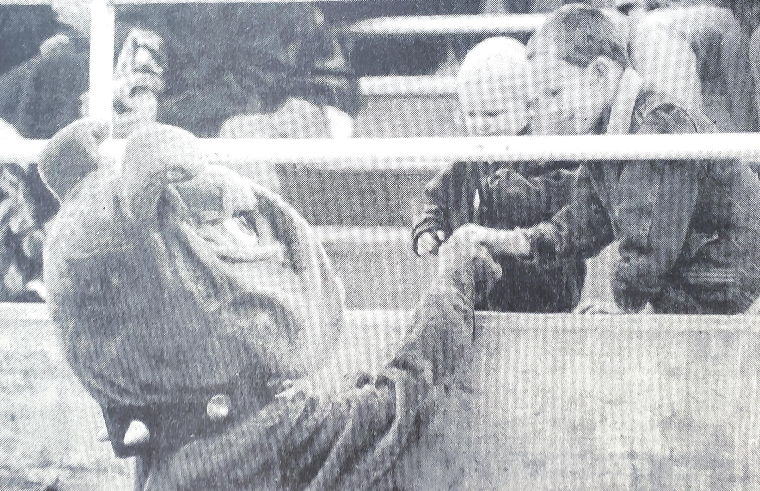 Elijah and Joshua Ratliff meet Brandy the Bulldog at a Southwestern Oklahoma State University football game earlier this month. Brandy was at the Southwestern Fan Jam that night at the Rankin Williams gymnasium. This picture was featured in the November 14, 2000, edition of the Weatherford Daily News.