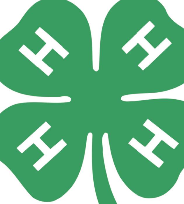 Food, Fun, 4-H gets kids in the kitchen