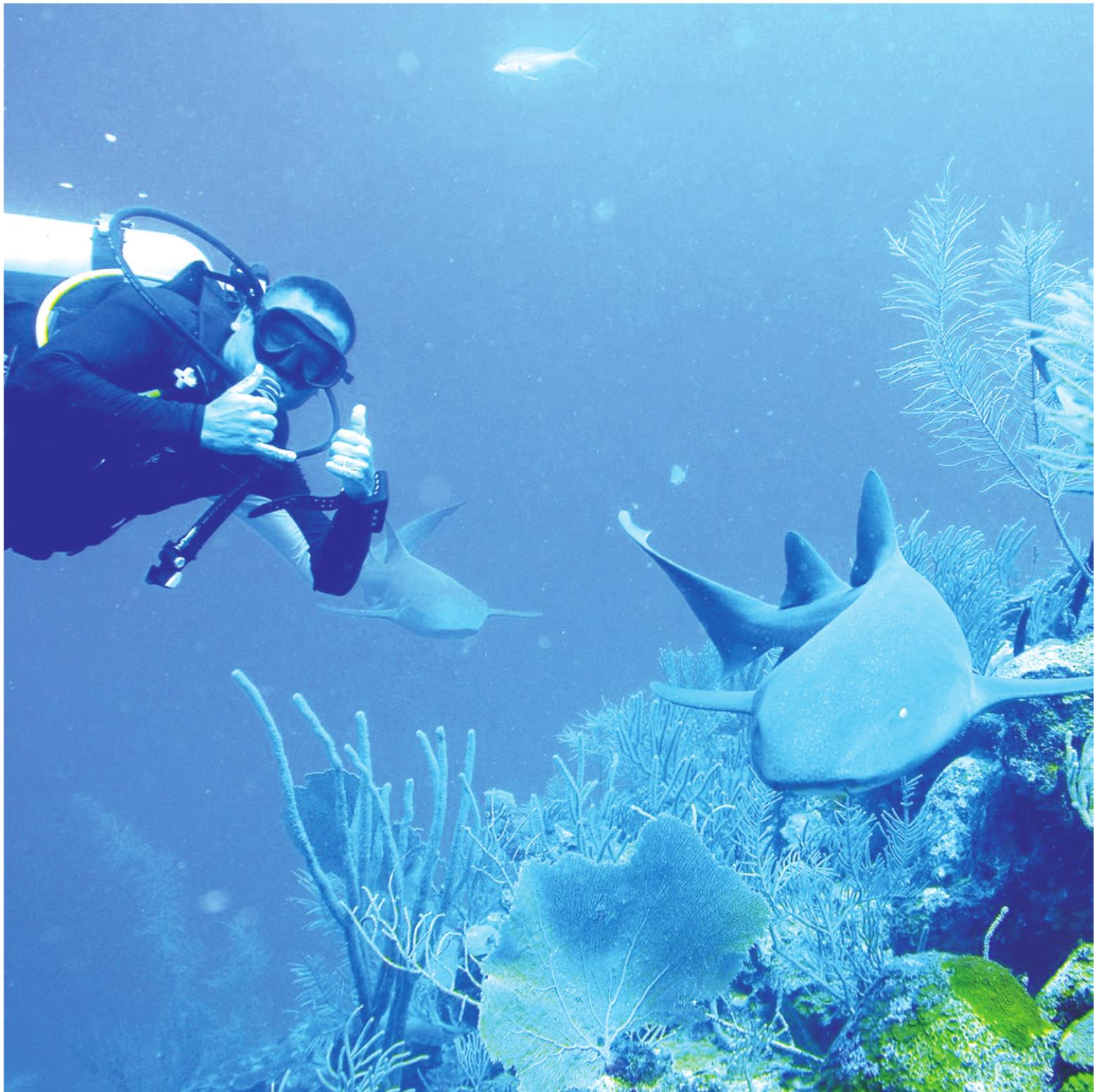 Provided Paul Hummel poses with a shark while scuba diving in Belize.