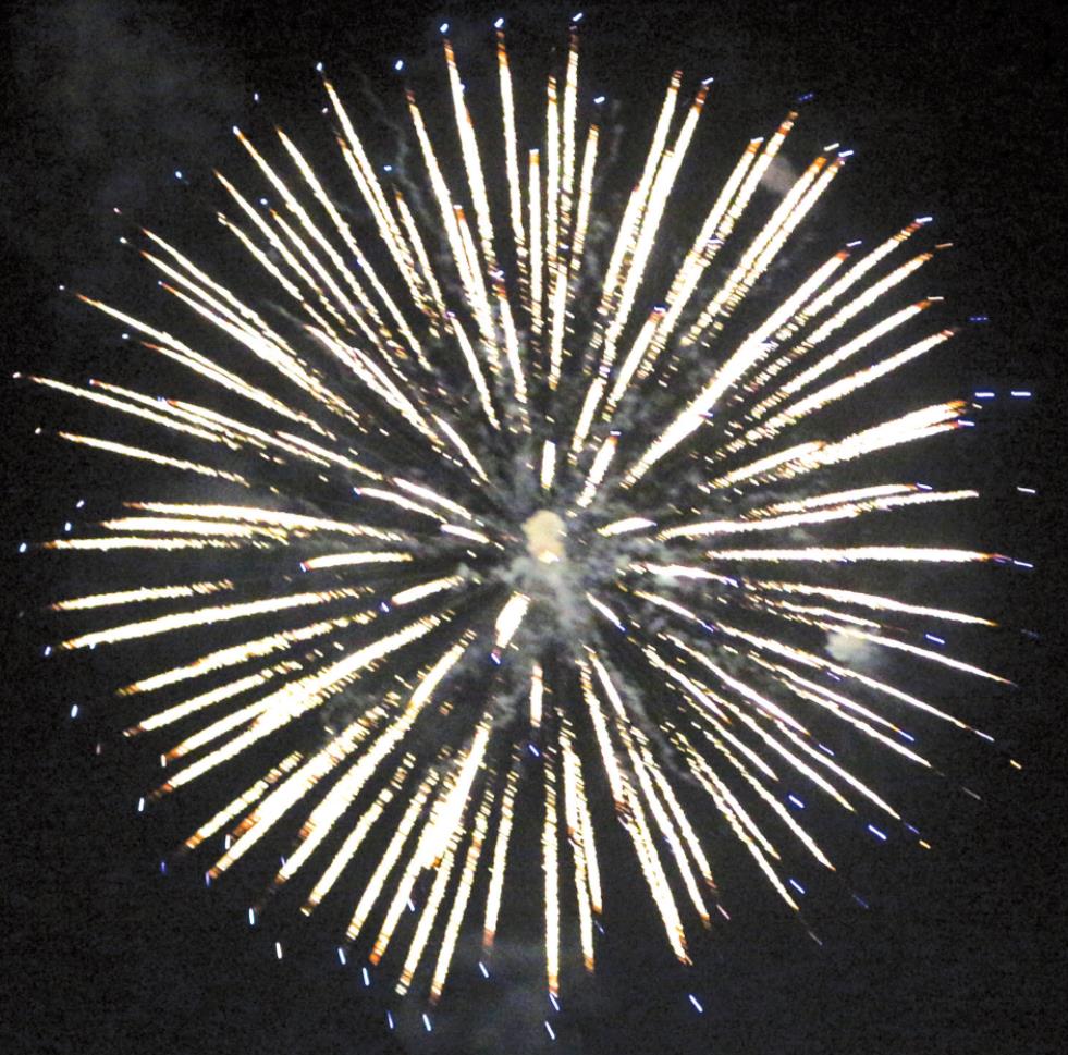 Pictured is a chrysanthemum-style firework from the 2019 firework show at Rader Park. Leanna Cook/WDN