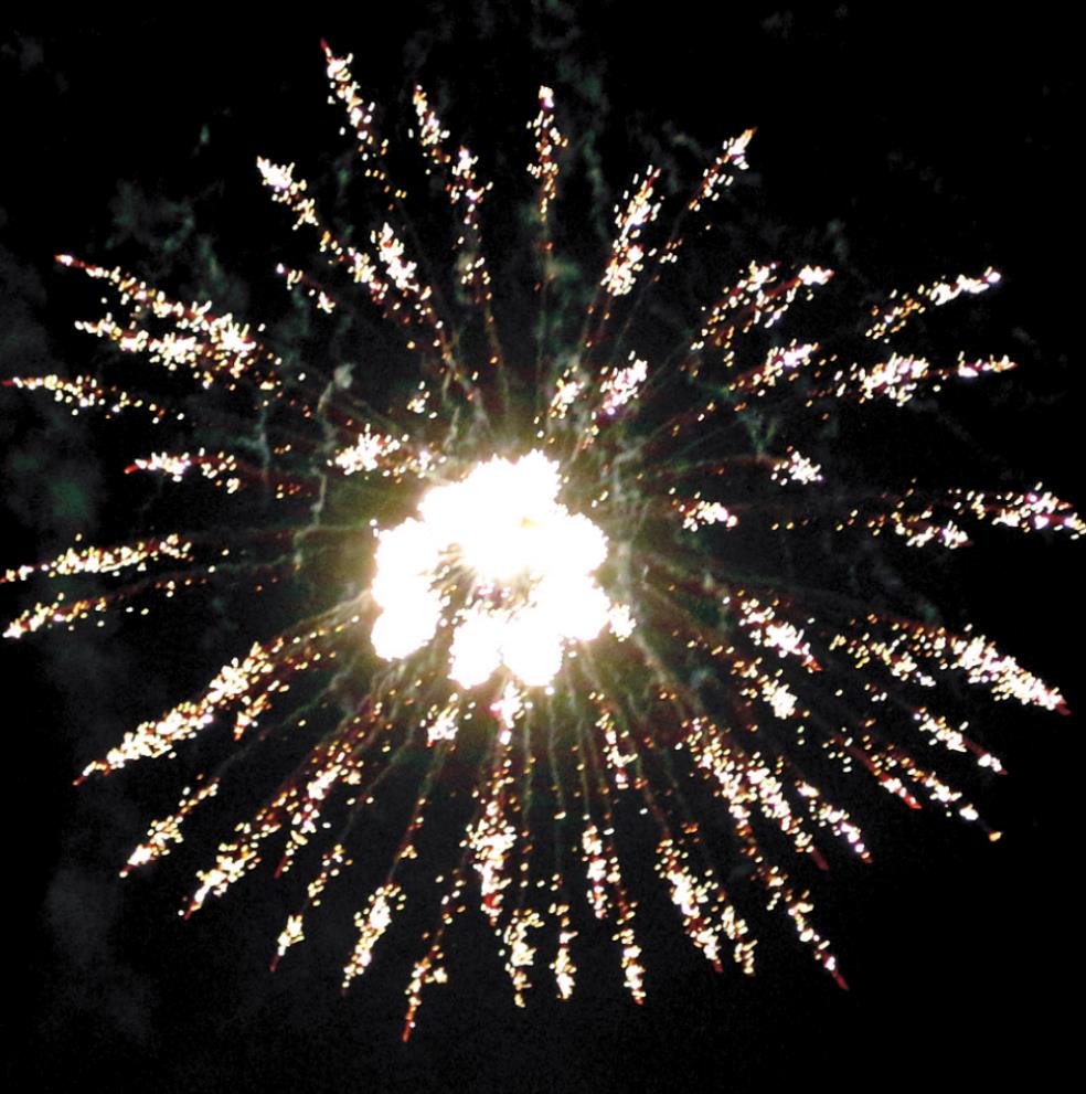 Pictured is a diadem-style firework seen at the Rotary Club’s 2019 firework show. Leanna Cook/WDN